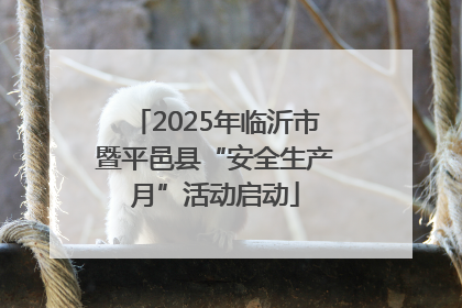 2025年临沂市暨平邑县“安全生产月”活动启动