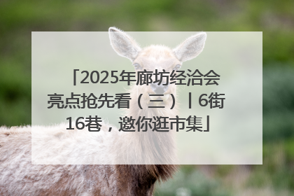 2025年廊坊经洽会亮点抢先看（三）丨6街16巷，邀你逛市集