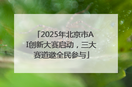 2025年北京市AI创新大赛启动，三大赛道邀全民参与