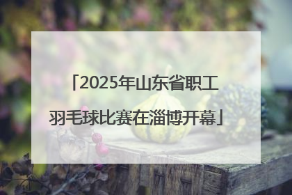 2025年山东省职工羽毛球比赛在淄博开幕