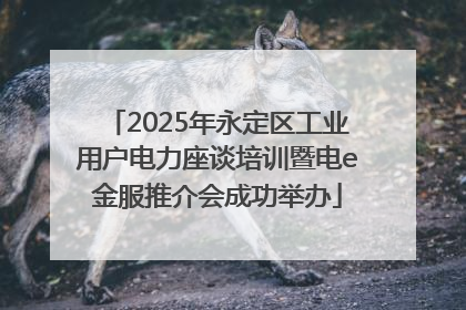 2025年永定区工业用户电力座谈培训暨电e金服推介会成功举办