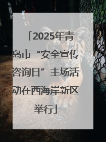 2025年青岛市“安全宣传咨询日”主场活动在西海岸新区举行