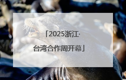 2025浙江·台湾合作周开幕