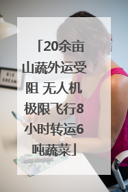 20余亩山蔬外运受阻 无人机极限飞行8小时转运6吨蔬菜