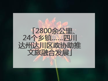2800余公里、24个乡镇……四川达州达川区政协助推文旅融合发展
