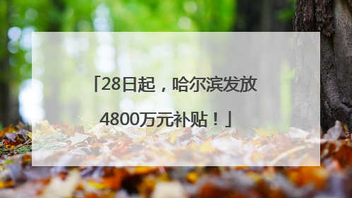 28日起，哈尔滨发放4800万元补贴！