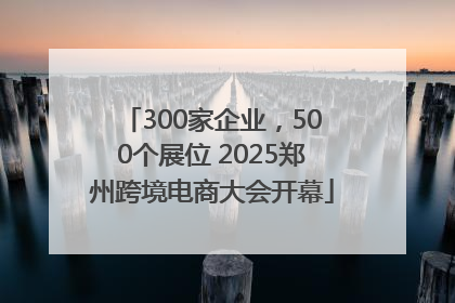 300家企业，500个展位 2025郑州跨境电商大会开幕