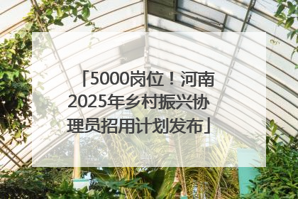 5000岗位！河南2025年乡村振兴协理员招用计划发布