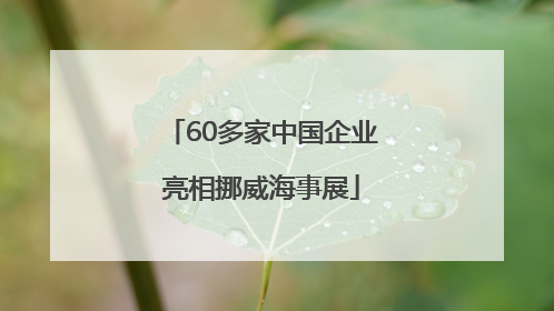 60多家中国企业亮相挪威海事展