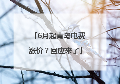 6月起青岛电费涨价？回应来了