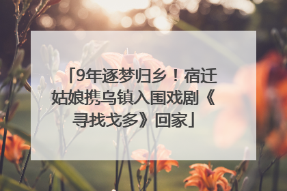 9年逐梦归乡！宿迁姑娘携乌镇入围戏剧《寻找戈多》回家