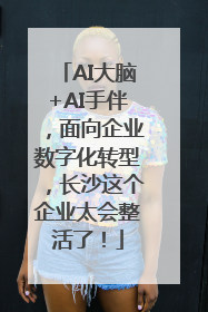 AI大脑+AI手伴，面向企业数字化转型，长沙这个企业太会整活了！
