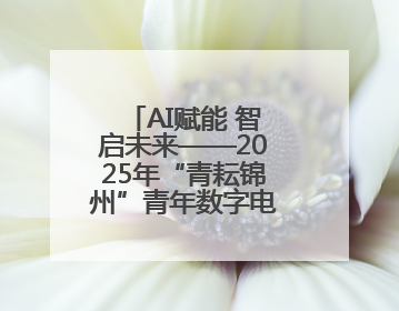 AI赋能 智启未来——2025年“青耘锦州”青年数字电商培训班举行