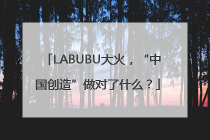 LABUBU大火，“中国创造”做对了什么？