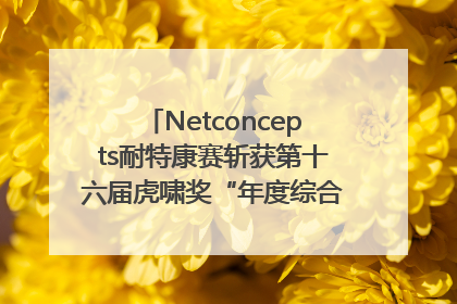 Netconcepts耐特康赛斩获第十六届虎啸奖“年度综合服务商”大奖